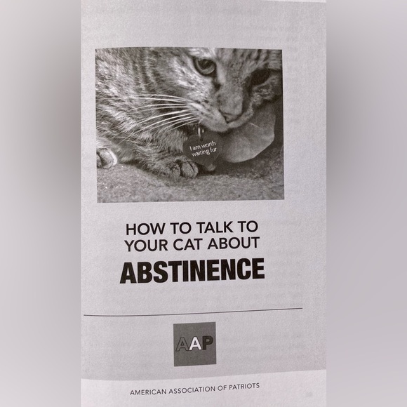 NEW How To Talk To Your Cat About Gun Safety Book - Picture 5 of 11